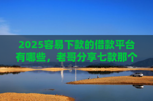 2025容易下款的借款平台有哪些，老哥分享七款那个网贷口子容易下款