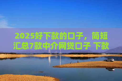 2025好下款的口子，简短汇总7款中介网贷口子 下款高