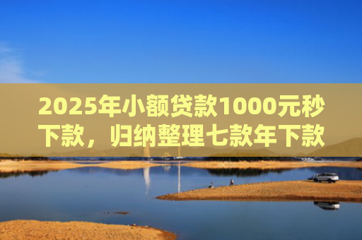 2025年小额贷款1000元秒下款，归纳整理七款年下款的网贷口子