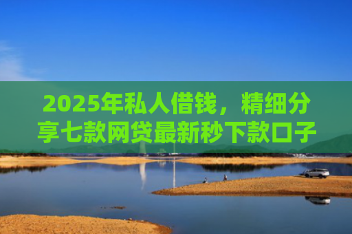 2025年私人借钱，精细分享七款网贷最新秒下款口子