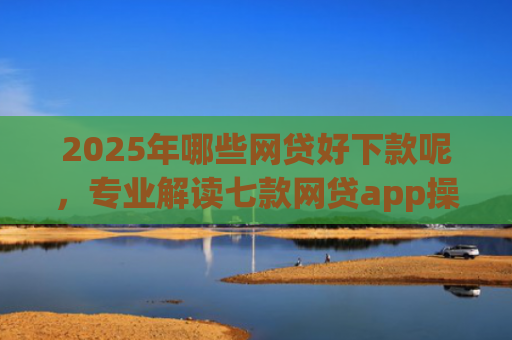2025年哪些网贷好下款呢，专业解读七款网贷app操作下款口子