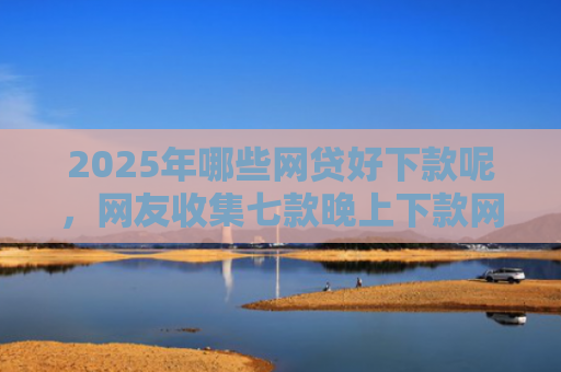 2025年哪些网贷好下款呢，网友收集七款晚上下款网贷口子