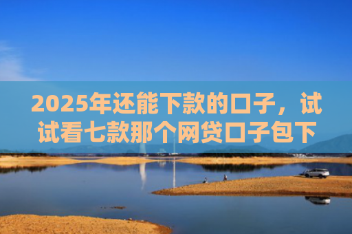 2025年还能下款的口子，试试看七款那个网贷口子包下款
