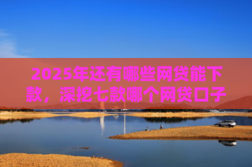 2025年还有哪些网贷能下款，深挖七款哪个网贷口子下款最快