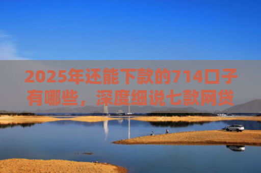 2025年还能下款的714口子有哪些，深度细说七款网贷黑户苹果下款口子