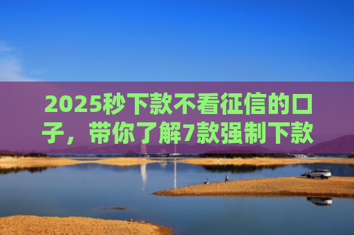 2025秒下款不看征信的口子，带你了解7款强制下款的网贷口子