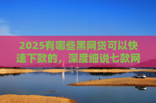 2025有哪些黑网贷可以快速下款的，深度细说七款网贷哪个口子好下款呢