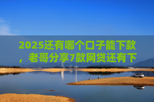 2025还有哪个口子能下款，老哥分享7款网贷还有下款口子吗