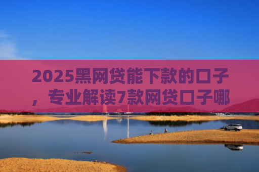 2025黑网贷能下款的口子，专业解读7款网贷口子哪些好下款