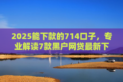 2025能下款的714口子，专业解读7款黑户网贷最新下款口子