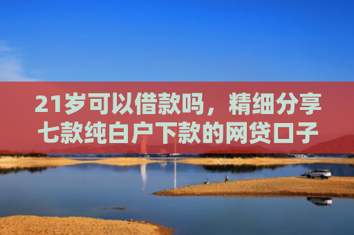 21岁可以借款吗，精细分享七款纯白户下款的网贷口子