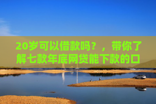 20岁可以借款吗？，带你了解七款年底网贷能下款的口子