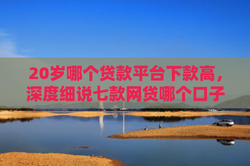 20岁哪个贷款平台下款高，深度细说七款网贷哪个口子下款率高