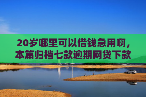 20岁哪里可以借钱急用啊，本篇归档七款逾期网贷下款有什么口子