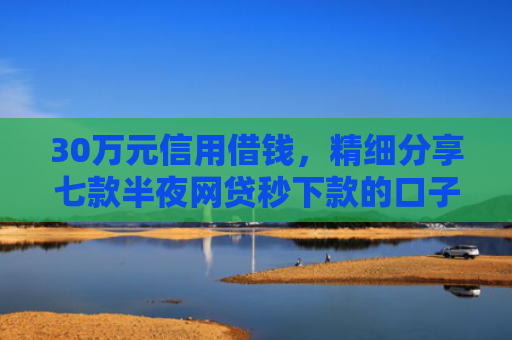 30万元信用借钱，精细分享七款半夜网贷秒下款的口子