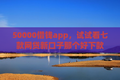 50000借钱app，试试看七款网贷新口子那个好下款