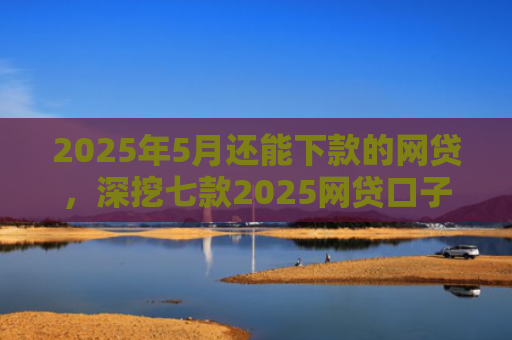 2025年5月还能下款的网贷，深挖七款2025网贷口子下款快
