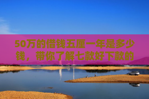 50万的借钱五厘一年是多少钱，带你了解七款好下款的网贷正规口子