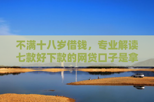不满十八岁借钱，专业解读七款好下款的网贷口子是拿家