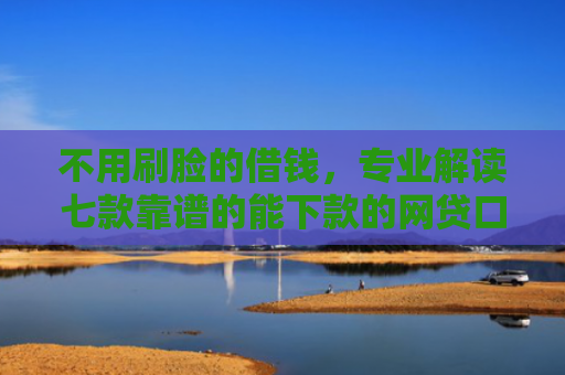 不用刷脸的借钱，专业解读七款靠谱的能下款的网贷口子