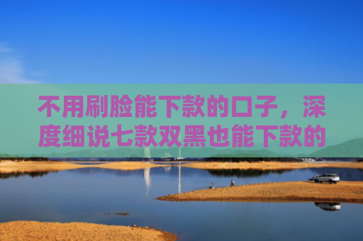 不用刷脸能下款的口子，深度细说七款双黑也能下款的网贷口子