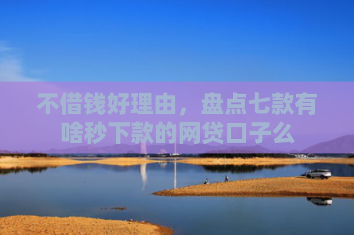 不借钱好理由，盘点七款有啥秒下款的网贷口子么