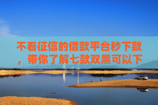 不看征信的借款平台秒下款，带你了解七款双黑可以下款的网贷口子