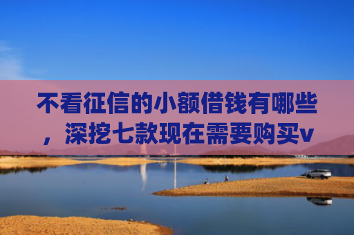 不看征信的小额借钱有哪些，深挖七款现在需要购买vip下款的网贷口子