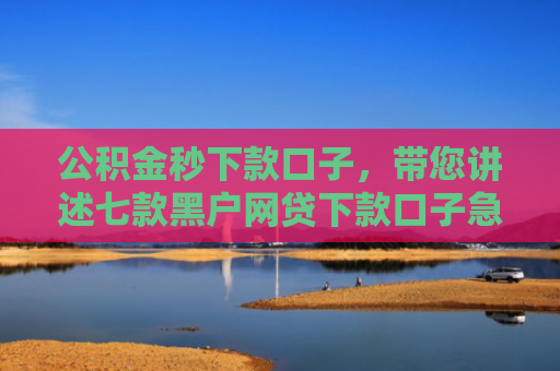 公积金秒下款口子，带您讲述七款黑户网贷下款口子急用