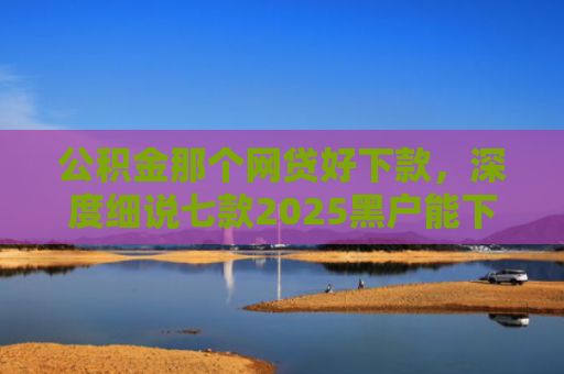 公积金那个网贷好下款，深度细说七款2025黑户能下款网贷