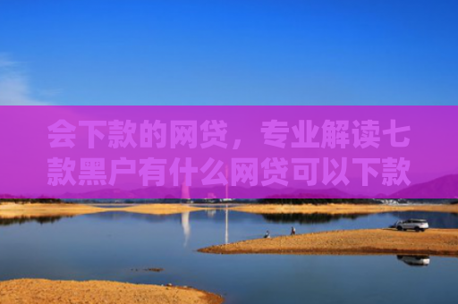 会下款的网贷，专业解读七款黑户有什么网贷可以下款