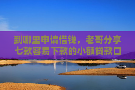 到哪里申请借钱，老哥分享七款容易下款的小额贷款口子