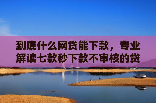 到底什么网贷能下款，专业解读七款秒下款不审核的贷款口子