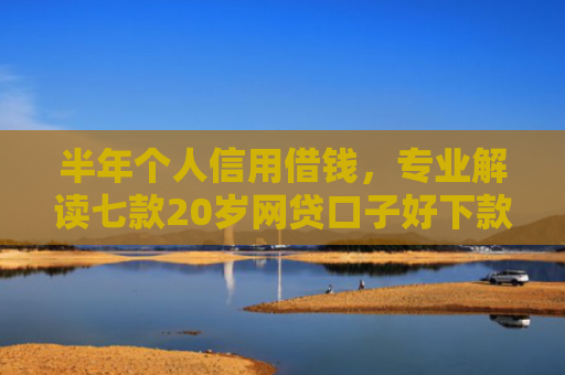 半年个人信用借钱，专业解读七款20岁网贷口子好下款的