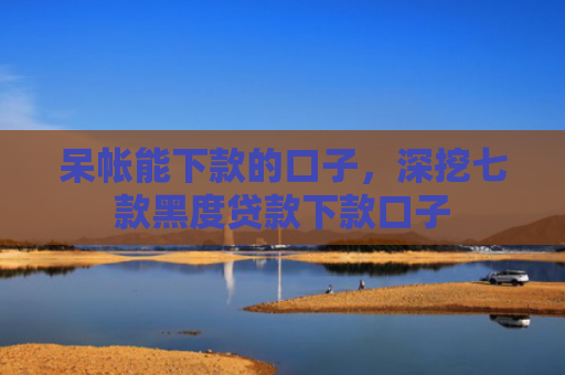 呆帐能下款的口子，深挖七款黑度贷款下款口子