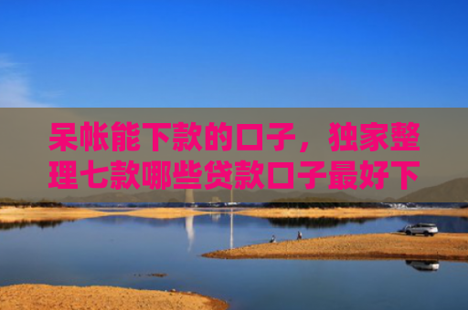呆帐能下款的口子，独家整理七款哪些贷款口子最好下款