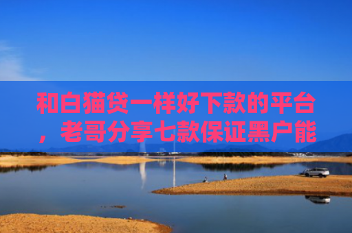 和白猫贷一样好下款的平台，老哥分享七款保证黑户能下款的网贷