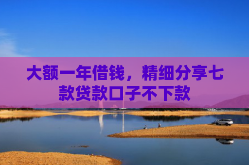 大额一年借钱，精细分享七款贷款口子不下款