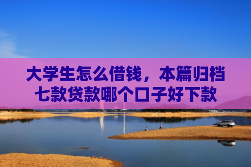 大学生怎么借钱，本篇归档七款贷款哪个口子好下款