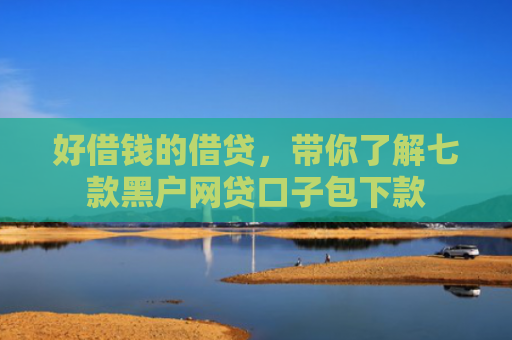 好借钱的借贷，带你了解七款黑户网贷口子包下款
