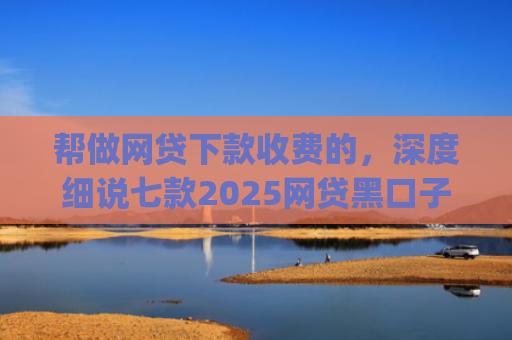 帮做网贷下款收费的，深度细说七款2025网贷黑口子秒下款app