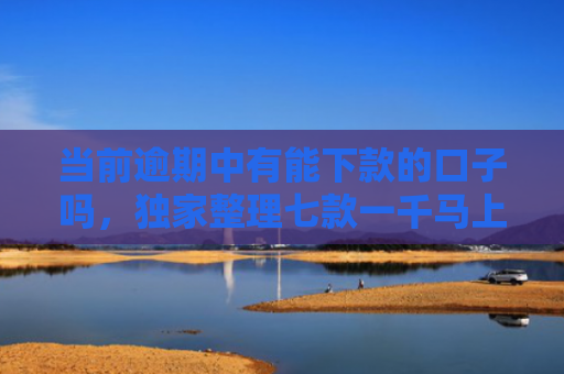 当前逾期中有能下款的口子吗，独家整理七款一千马上下款的贷款口子