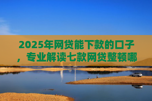 2025年网贷能下款的口子，专业解读七款网贷整顿哪些口子下款