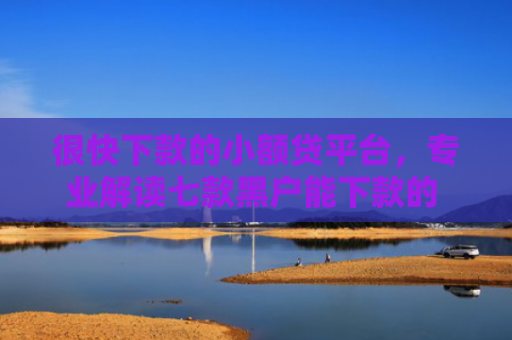 很快下款的小额贷平台，专业解读七款黑户能下款的 网贷口子