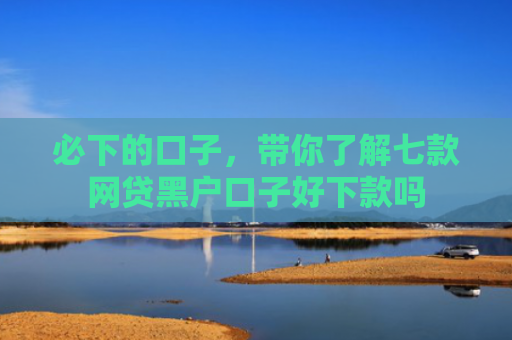 必下的口子，带你了解七款网贷黑户口子好下款吗