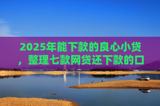 2025年能下款的良心小贷，整理七款网贷还下款的口子