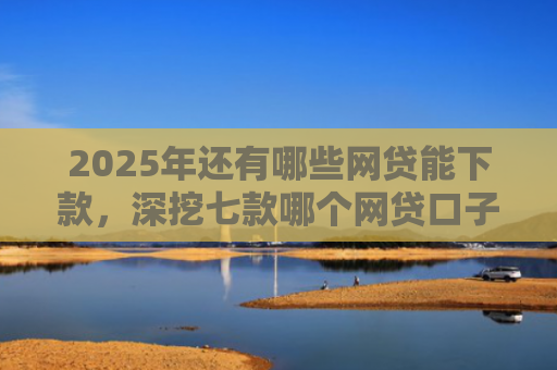 2025年还有哪些网贷能下款，深挖七款哪个网贷口子下款最快