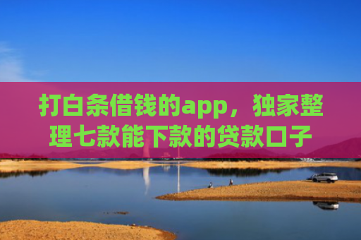打白条借钱的app，独家整理七款能下款的贷款口子