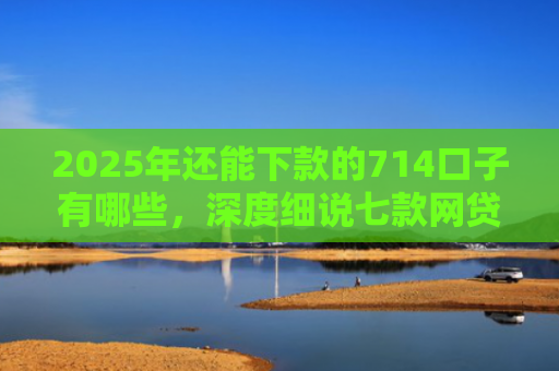 2025年还能下款的714口子有哪些，深度细说七款网贷黑户苹果下款口子