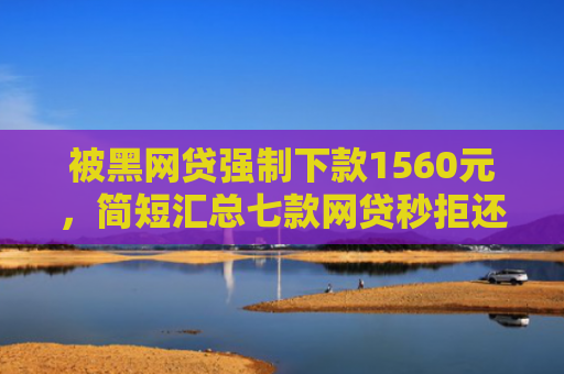 被黑网贷强制下款1560元，简短汇总七款网贷秒拒还能下款的口子